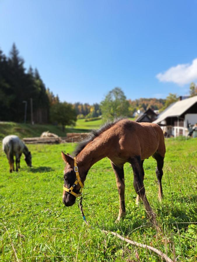 Tourist Farm Pr' Maretc Apartman Bohinjska Bistrica Kültér fotó