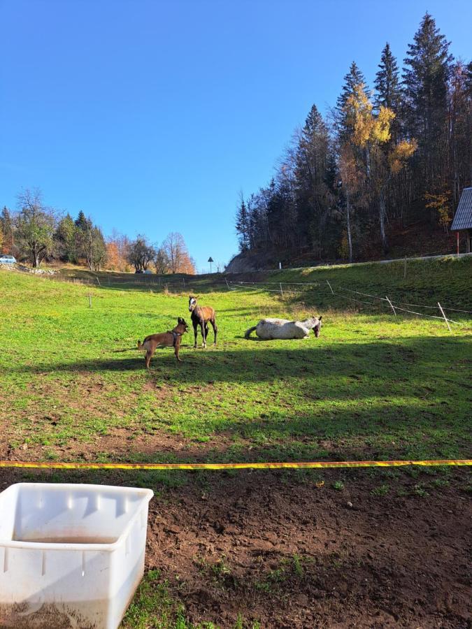 Tourist Farm Pr' Maretc Apartman Bohinjska Bistrica Kültér fotó