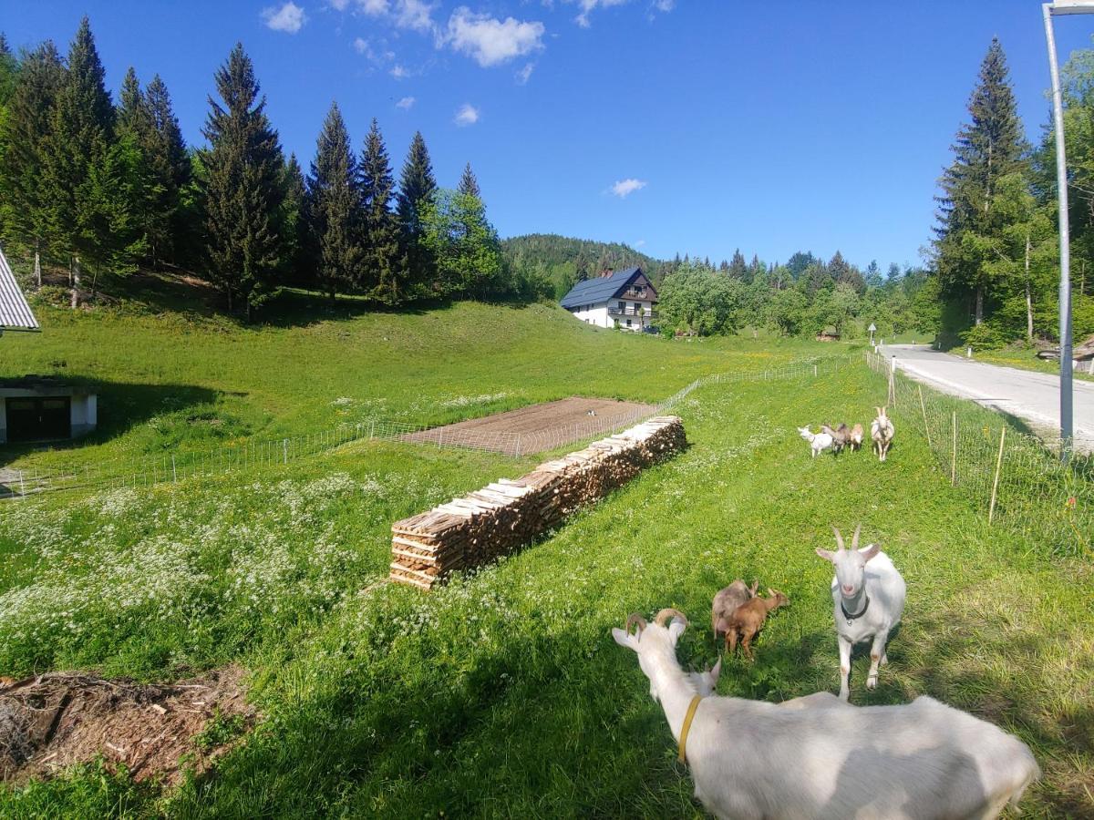 Tourist Farm Pr' Maretc Apartman Bohinjska Bistrica Kültér fotó