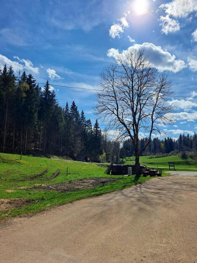 Tourist Farm Pr' Maretc Apartman Bohinjska Bistrica Kültér fotó