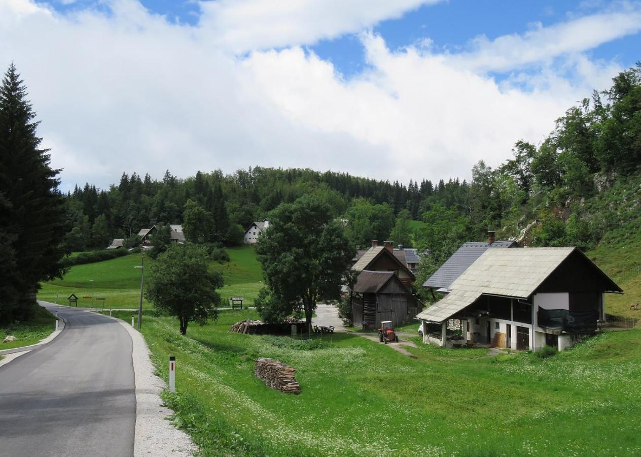 Tourist Farm Pr' Maretc Apartman Bohinjska Bistrica Kültér fotó