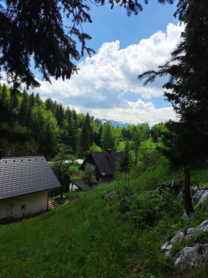 Tourist Farm Pr' Maretc Apartman Bohinjska Bistrica Kültér fotó